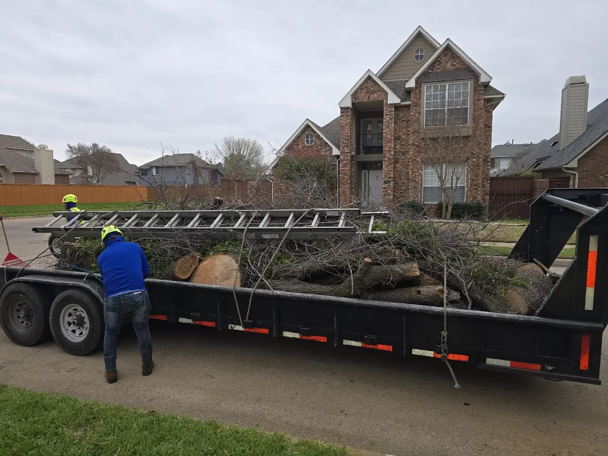 Expert Tree Fertilization with proper safety equipment in Maurepas